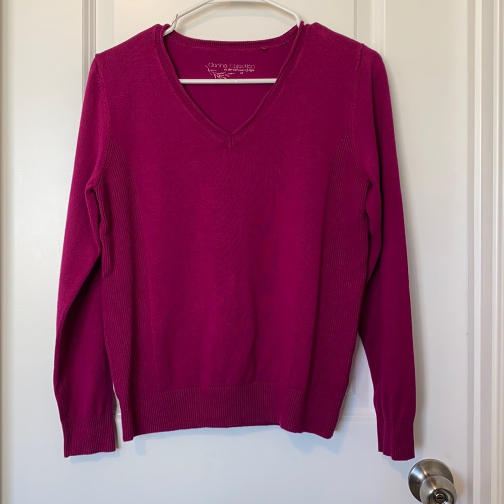Clarina Collection V-Neck Sweater